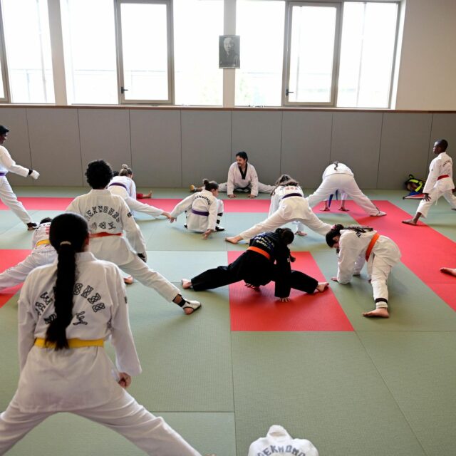Image 5